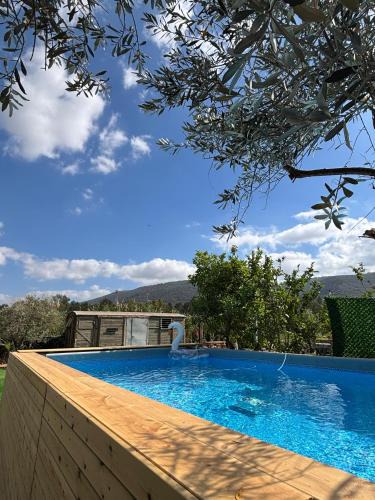 Kfar Hasidim Bet Hotel | בוסתן החורש