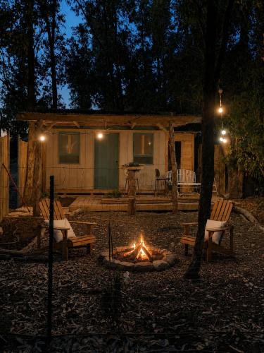 Gilboa Cabin | בועה ביער