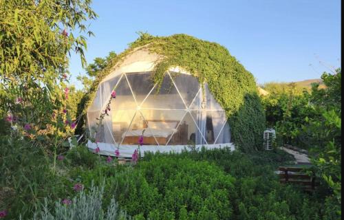 Yavne'el House | הבוסתן של הדס, הדום שבהר