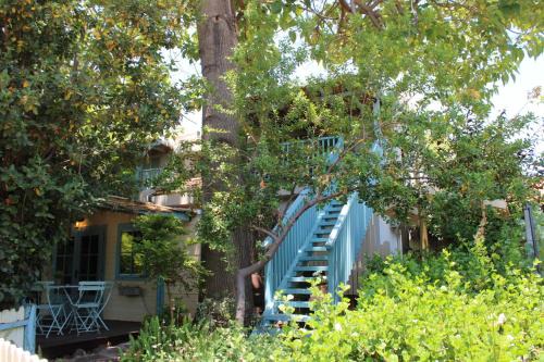 Dafna House | וילת פלג בקיבוץ דפנה - אירוח וטיולים בלב טבע פראי