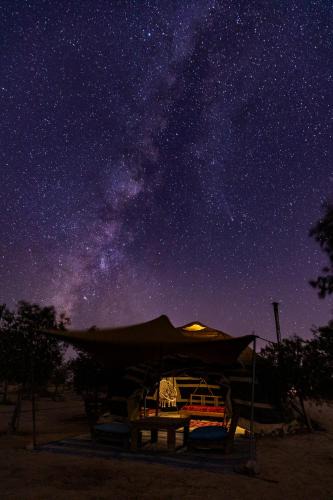 Mitzpe Ramon Other | חוות ארץ פרא wild land farm