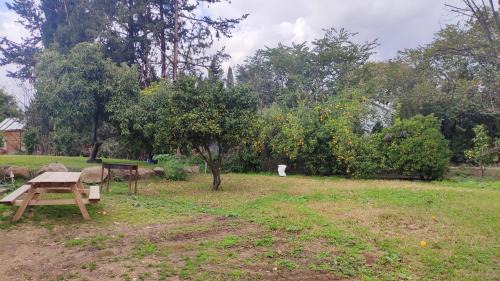 Beit Hillel Cabin | יערה בכפר קרוב לנחל