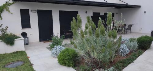 Manot Apartment | מנות בטבע