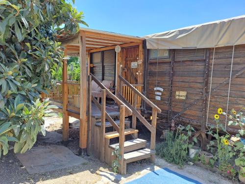 Tabash Bed & Breakfast | שבט אחים - חאן, קרון רכבת ודירת סטודיו - חווית אירוח כפרית