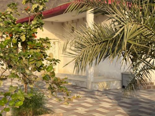 Al Kubus House | استراحة الأنغام