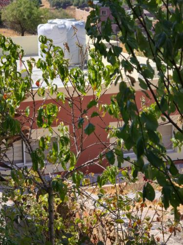 Ajloun Governorate House | بيت اطلالة الوادي