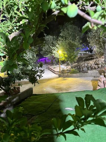 Ajloun Apartment | شقة مفروشة مع مزرعة خاصة