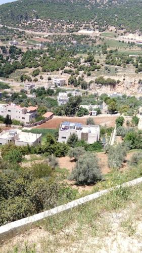 Ajloun Apartment | شقه مفروشه ب أحدث الأثاث ومحيطه ب الأشجار من كل الجوانب وقريبه من قلعه عجلون والتلفريك