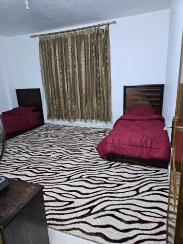 Ajloun Apartment | غصن الزيتون