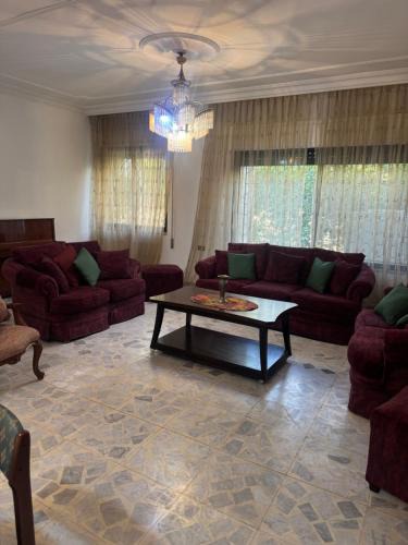 Amman Apartment | Abdoun ground floor apartment