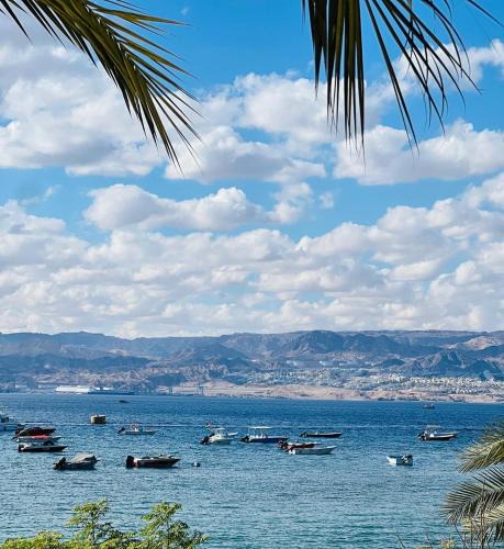 Aqaba Hostel | Al-Amer Aqaba Beach Hostel