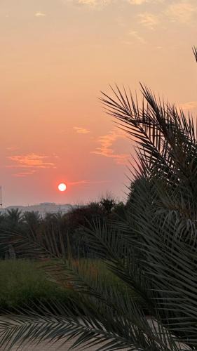 Liwa House | Al Gaith Retreat