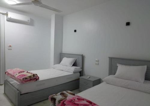 Aswan House | Alara Hostel "Only girls"