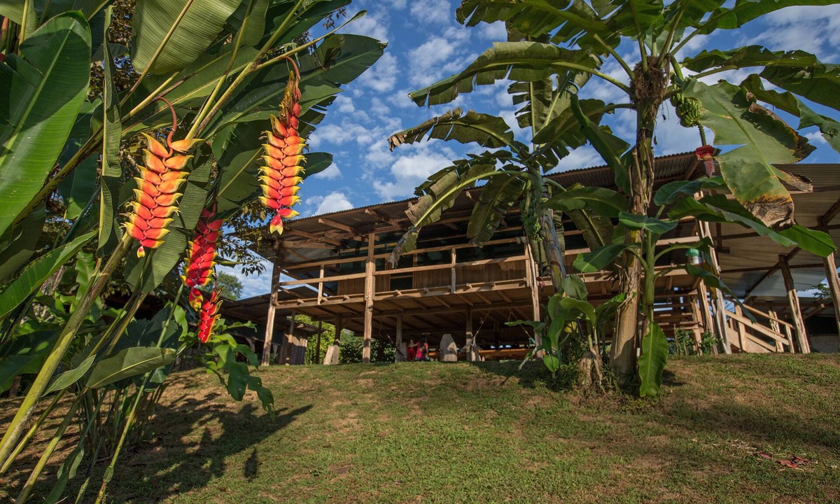 Puerto Jimenez House | Albergue La Laguna Corcovado Park