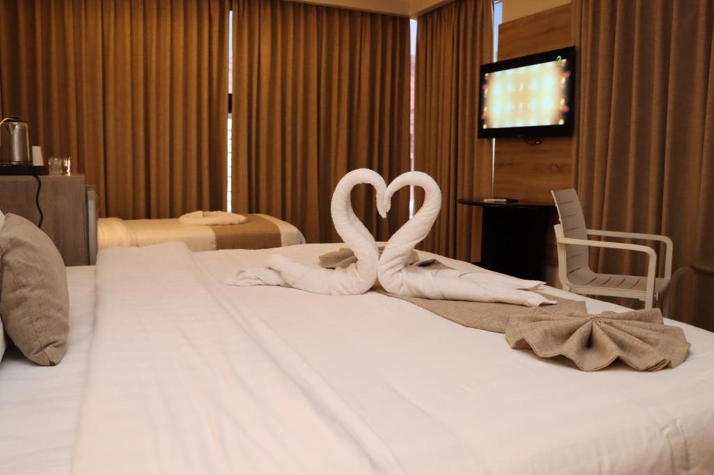 Aqaba Hotel | ALENA HOTEL