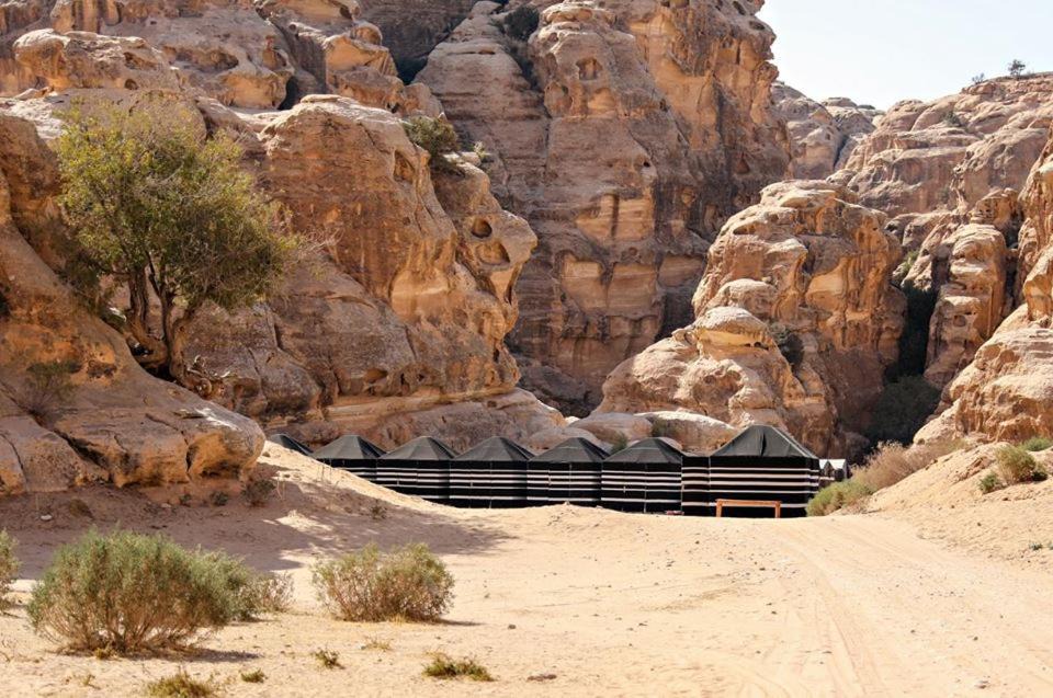 Wadi Musa Other | Ammarin Bedouin Camp