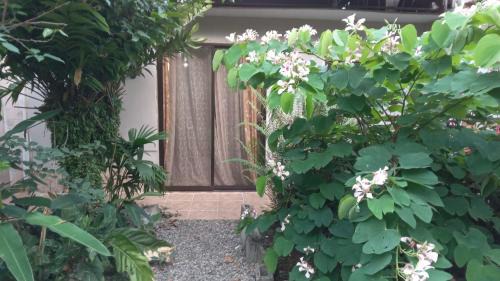 Puerto Viejo de Talamanca Apartment | Apartamento Cris