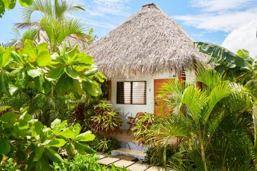 Jiquelite Apartment | Banana Tree Popoyo