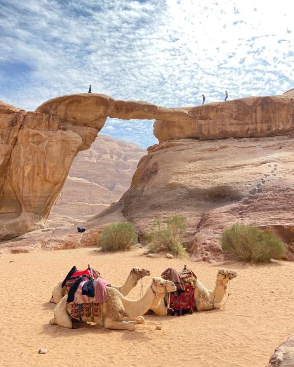 Wadi Rum Other | Bedouin Desert Cave