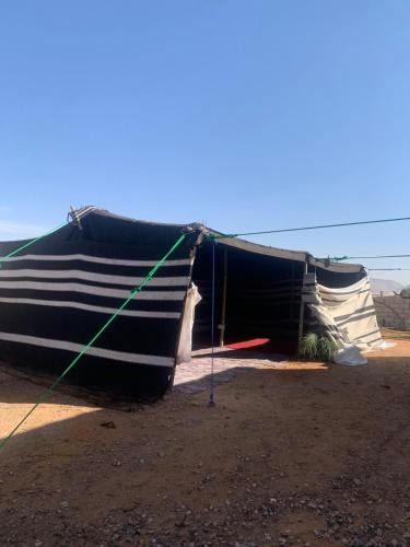 Wadi Rum Apartment | Bedouin experiences