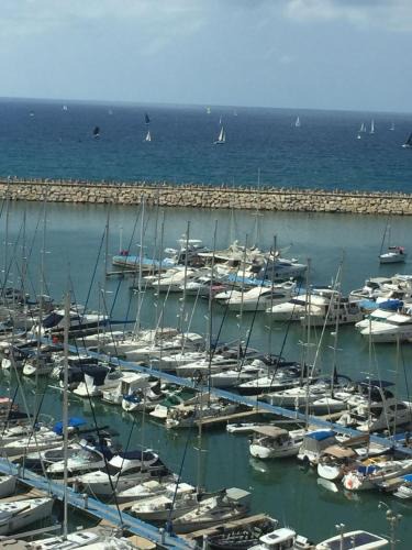 Herzliya Pituach Apartment | Business Class Marina Herzliya