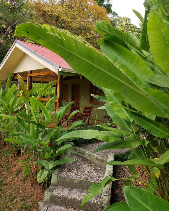 Ballena Apartment | Cabina Rancho la Merced