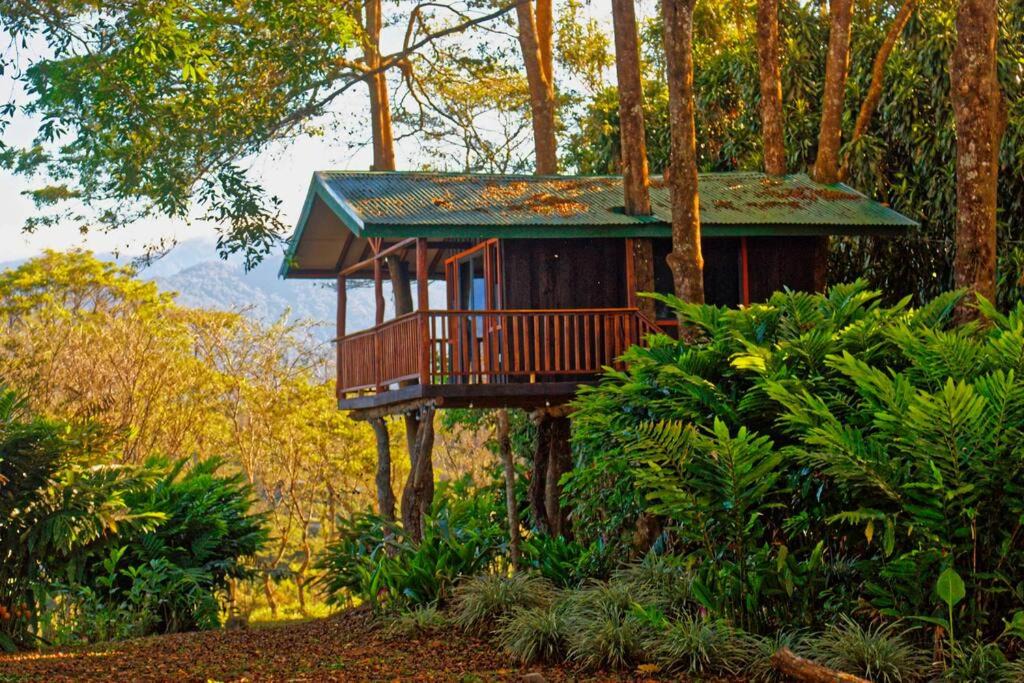Quebrada La Gamba Ski Chalet | Casa del árbol