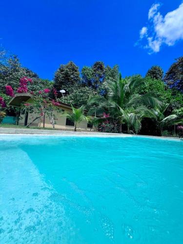 Palma Villa | Casa Tropical Ceiba