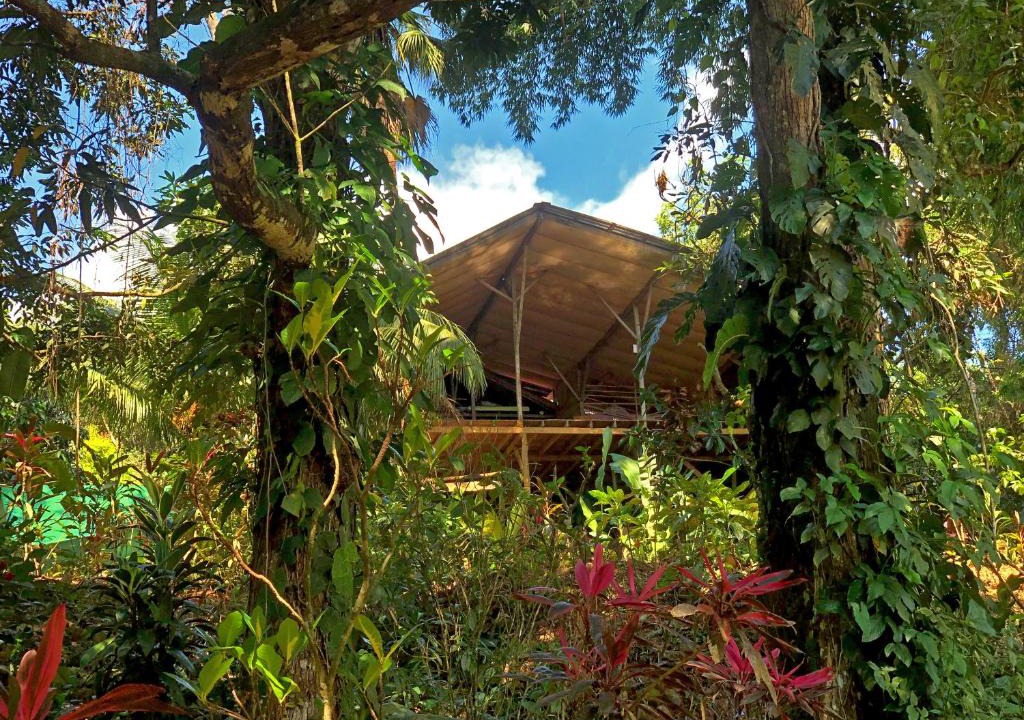 Ballena Hostel | Cascada Verde Eco Lodge & Hostel