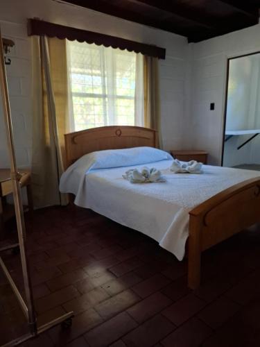 Coco House | Coco Beach House