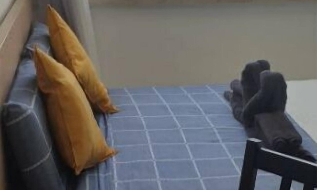 Haifa Apartment | Cozy 5 Star Bed&Sea View in CityCentre-NETFLIX★23