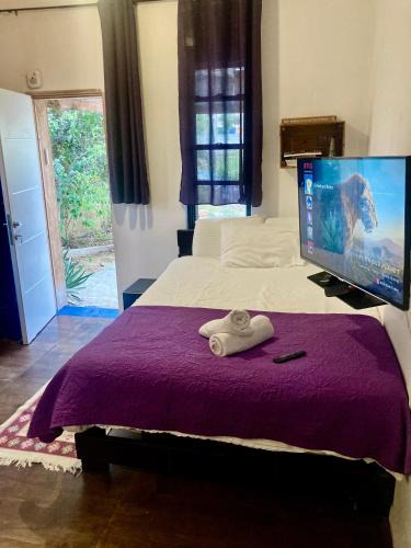 Mitzpe Ramon Apartment | cozy room