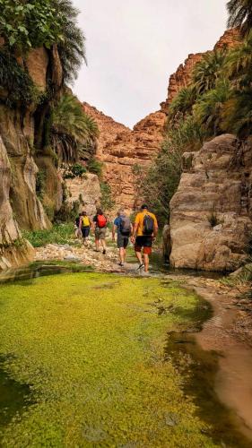 Tafilah Governorate Hotel | Dana bedouin Sky