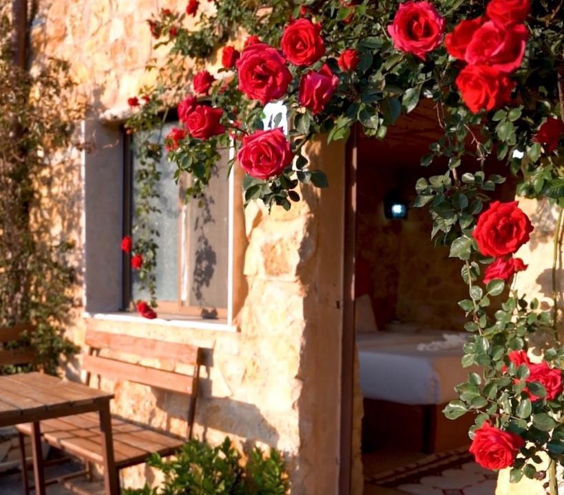 Dana Hotel | Dana Trail Hotel