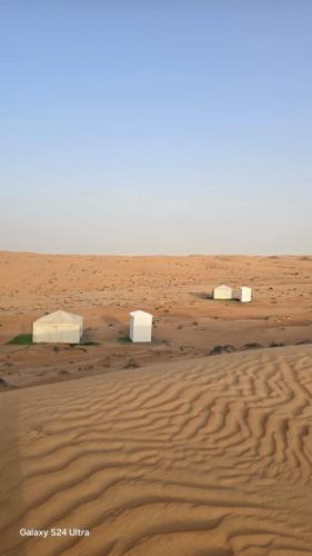 Bidiya Other | Desert Haven Camp