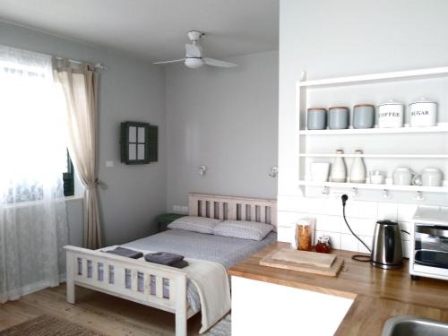 Midreshet Ben-Gurion Apartment | Desert Rose Room