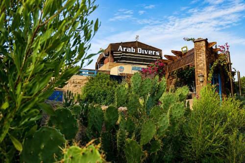 Aqaba Bed & Breakfast | Dive Center