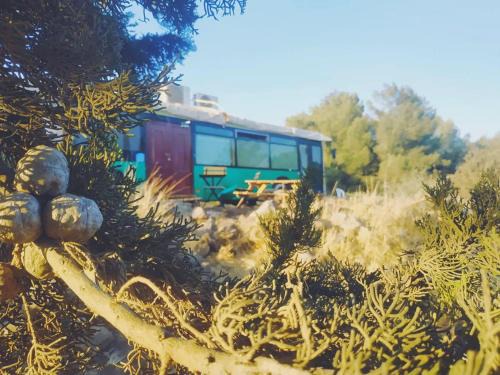 Qatsrin Other | eco bus