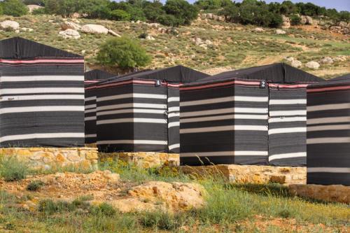 Dana Other | Ein lahda camp-site