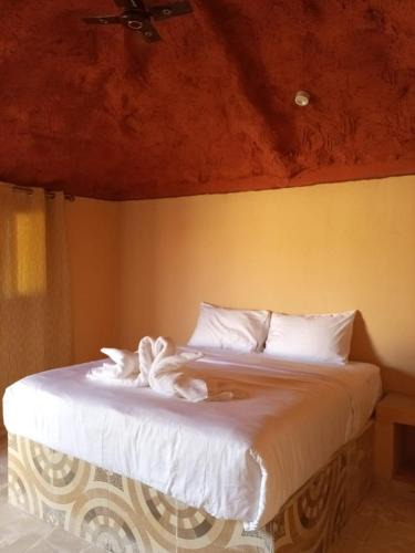 Mahdah Resort | Escape to Nature Resort