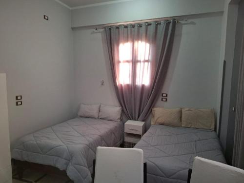 Luxor Apartment | Ezba Guest House