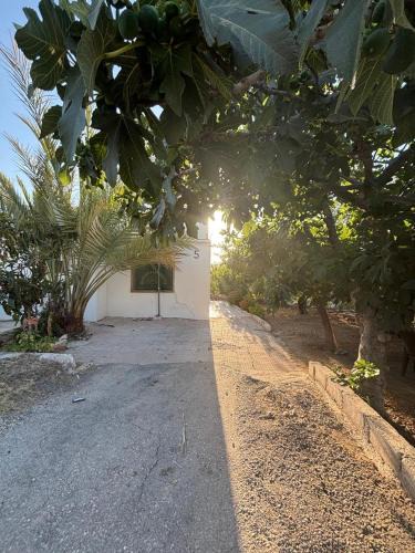 Ajloun House | Featured House Furnished Independent for Rent