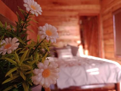Canton Desamparados House | Finca La Gozadera