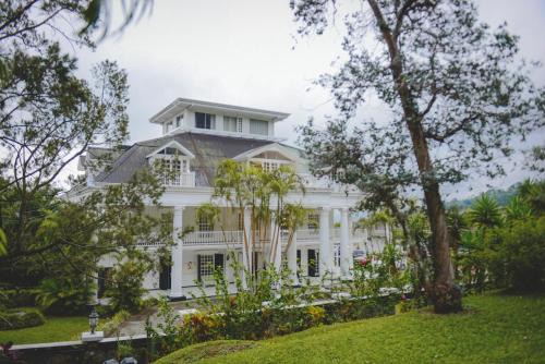 San Antonio Hotel | Fogo Resort