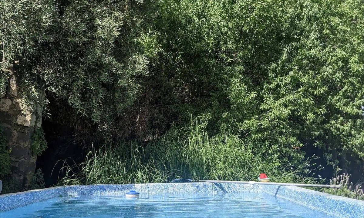 Rosh Pinna Apartment | Galilee courtyard garden room in Rosh Pinna