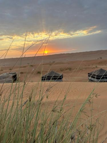Bidiya Other | Golden dune Bedouin camp