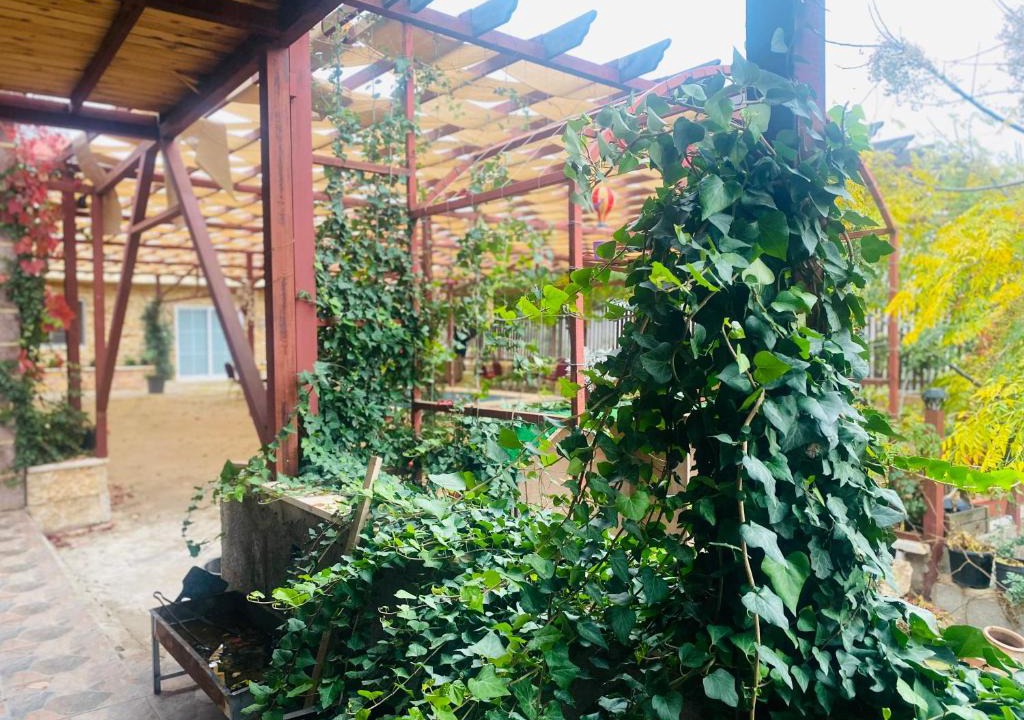 Gesher Cabin | Green houseجوهره الشمال