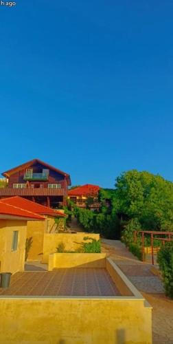 Gesher House | Green House