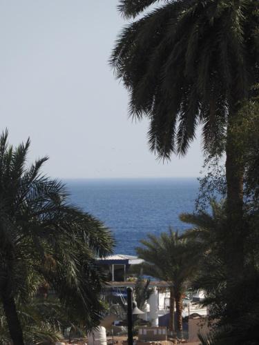 Aqaba Apartment | Guava Apt Downtown