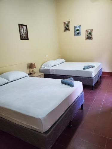Leon House | Hostal el sol